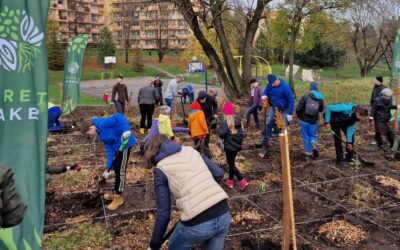 Edukacja w Zielonej Przyrodzie: Nauka i Rozrywka w Jednym