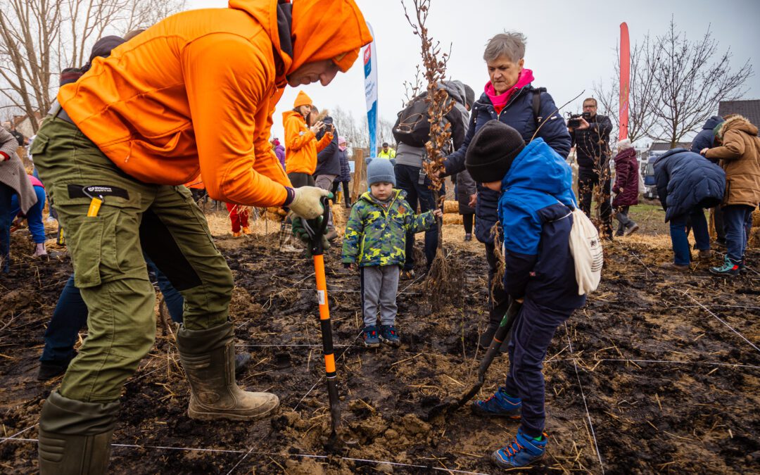 Gdańsk Zbiornik Retencyjny Platynowa 23.03.2024