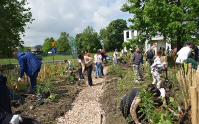 Międzyrzec Podlaski, ul. Karola Ferdynanda Eichlera, 31.05.2025