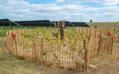 Strefa bioróżnorodności z Greenvolt Power, Karnowo, 13.05.2025