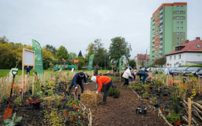 Racibórz, 10.10.2025