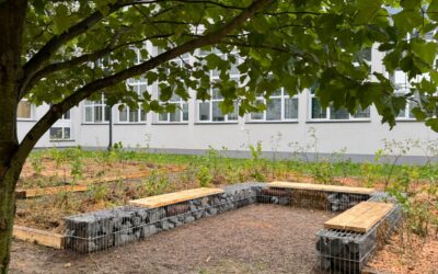 Pixel Forest, Kraków, 24.09.2025