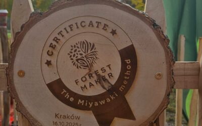 Kraków Mistrzejowice, 16.10.2025