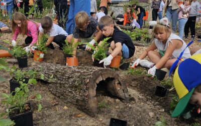Forest Lab, Wałcz, 12.09.2025