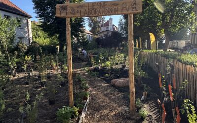 Forest Lab, Centrum Kształcenia Zawodowego i Ustawicznego nr 2 w Gdańsku, 4.09.2025