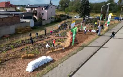 Michałowice, 4.10.2025