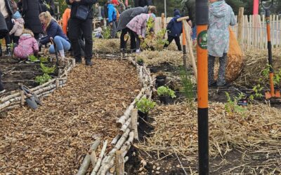 Gdańsk Kokoszki, 11.10.2025
